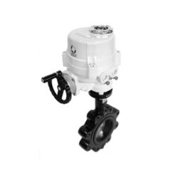 Valve Assemblies