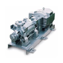 Carver Pumps
