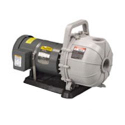 Pacer Pumps